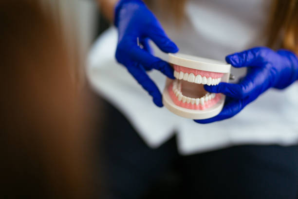 Reliable Delcambre, LA  Holistic Dental Services Solutions